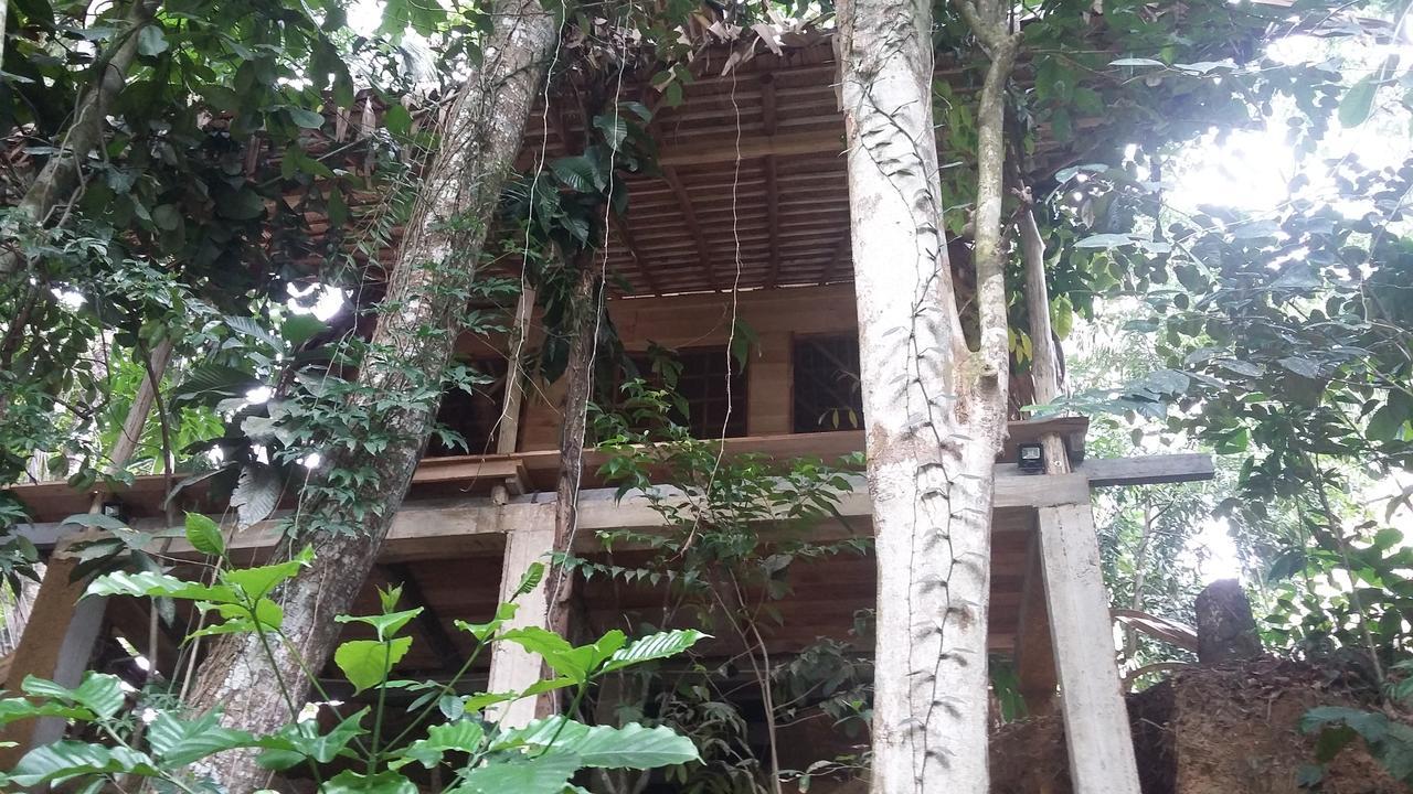 Bedda Eco Cottages 데니야야 외부 사진