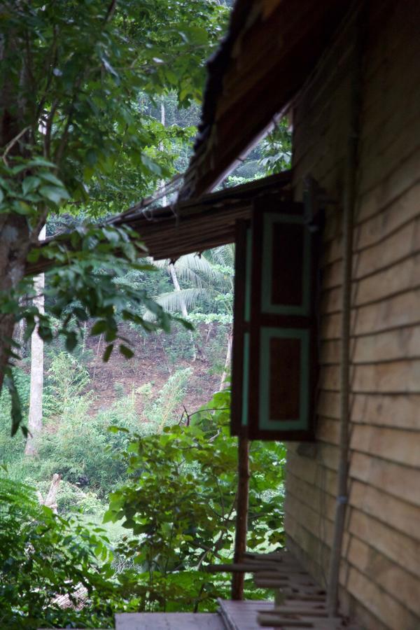 Bedda Eco Cottages 데니야야 외부 사진