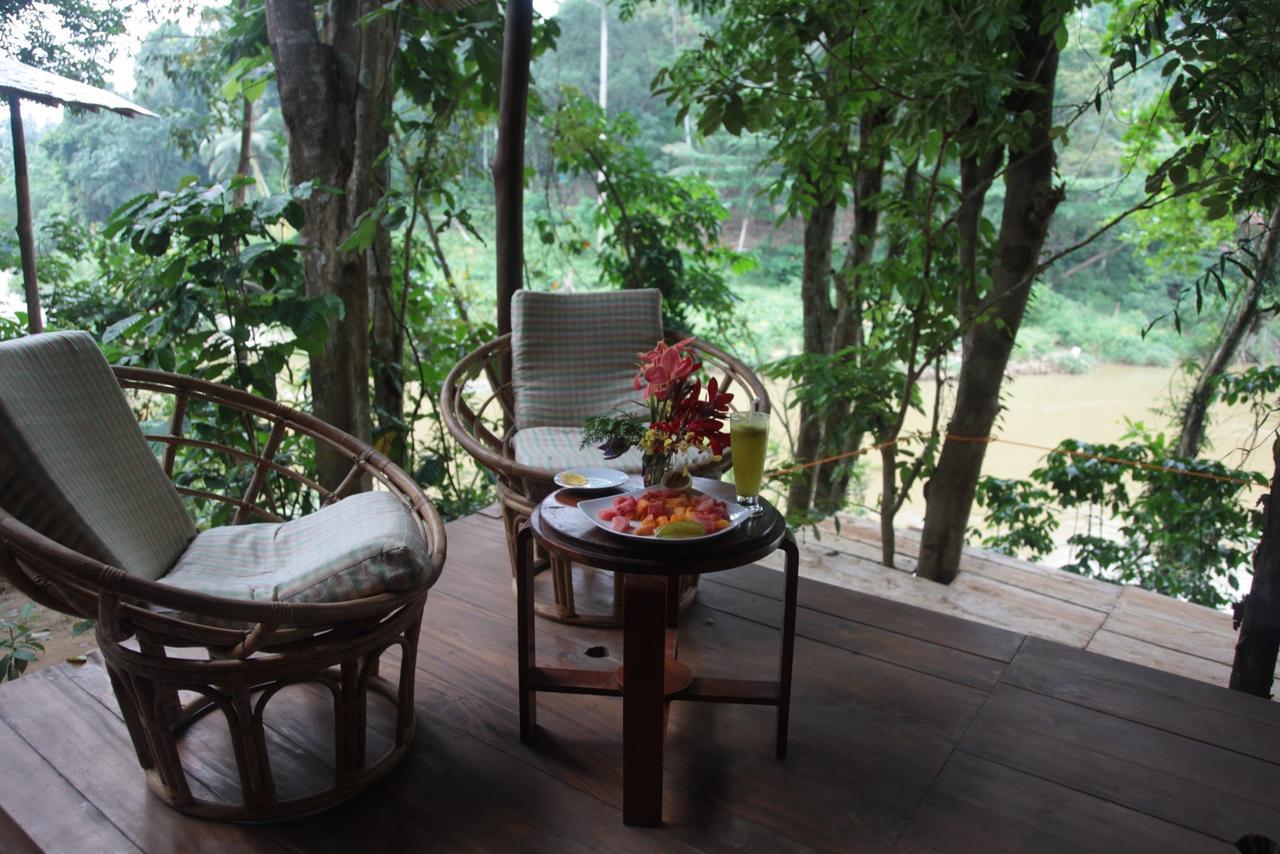 Bedda Eco Cottages 데니야야 외부 사진